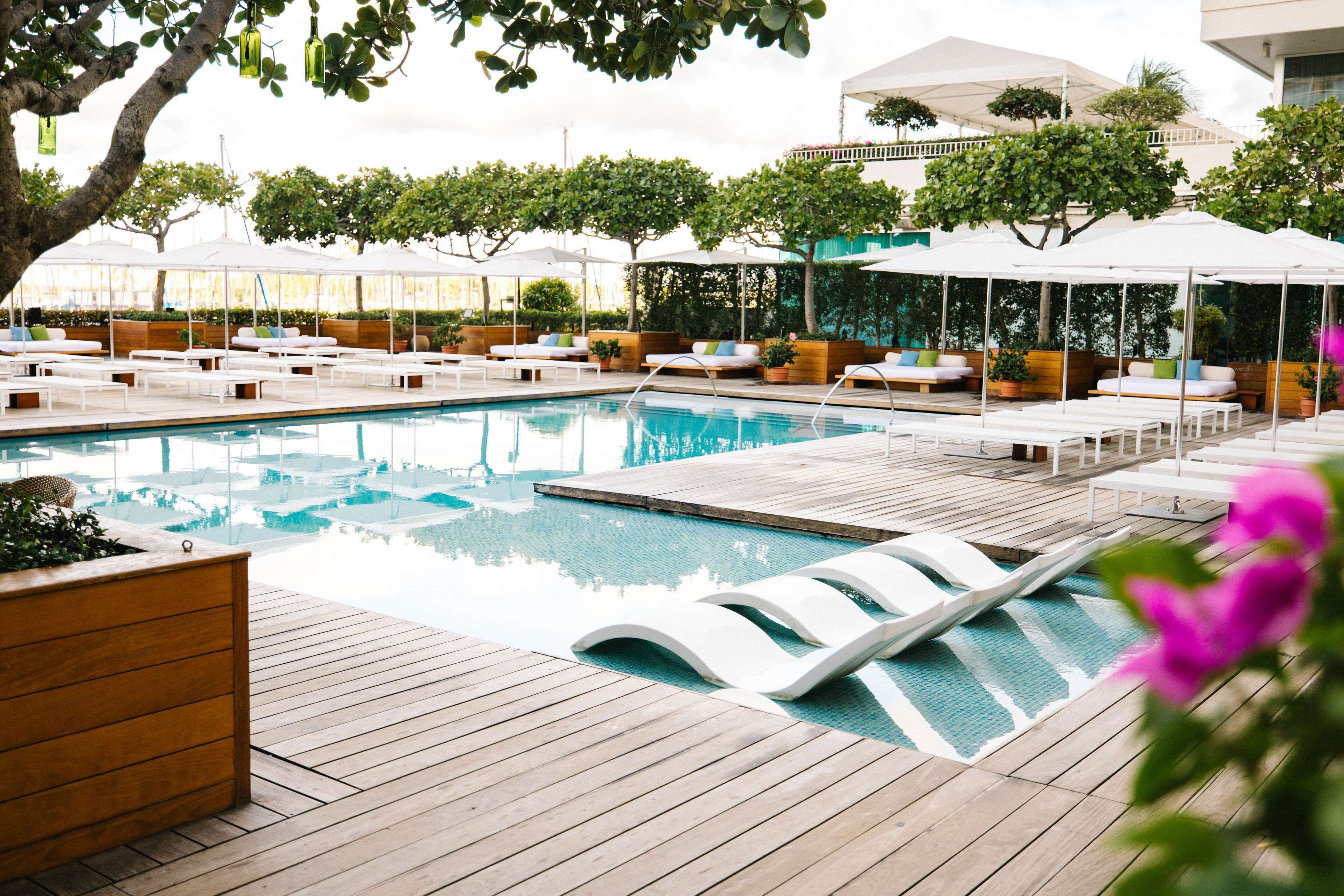 Un área de piscina con sillones de descanso y sombrillas, rodeada de vegetación y cubierta de madera.