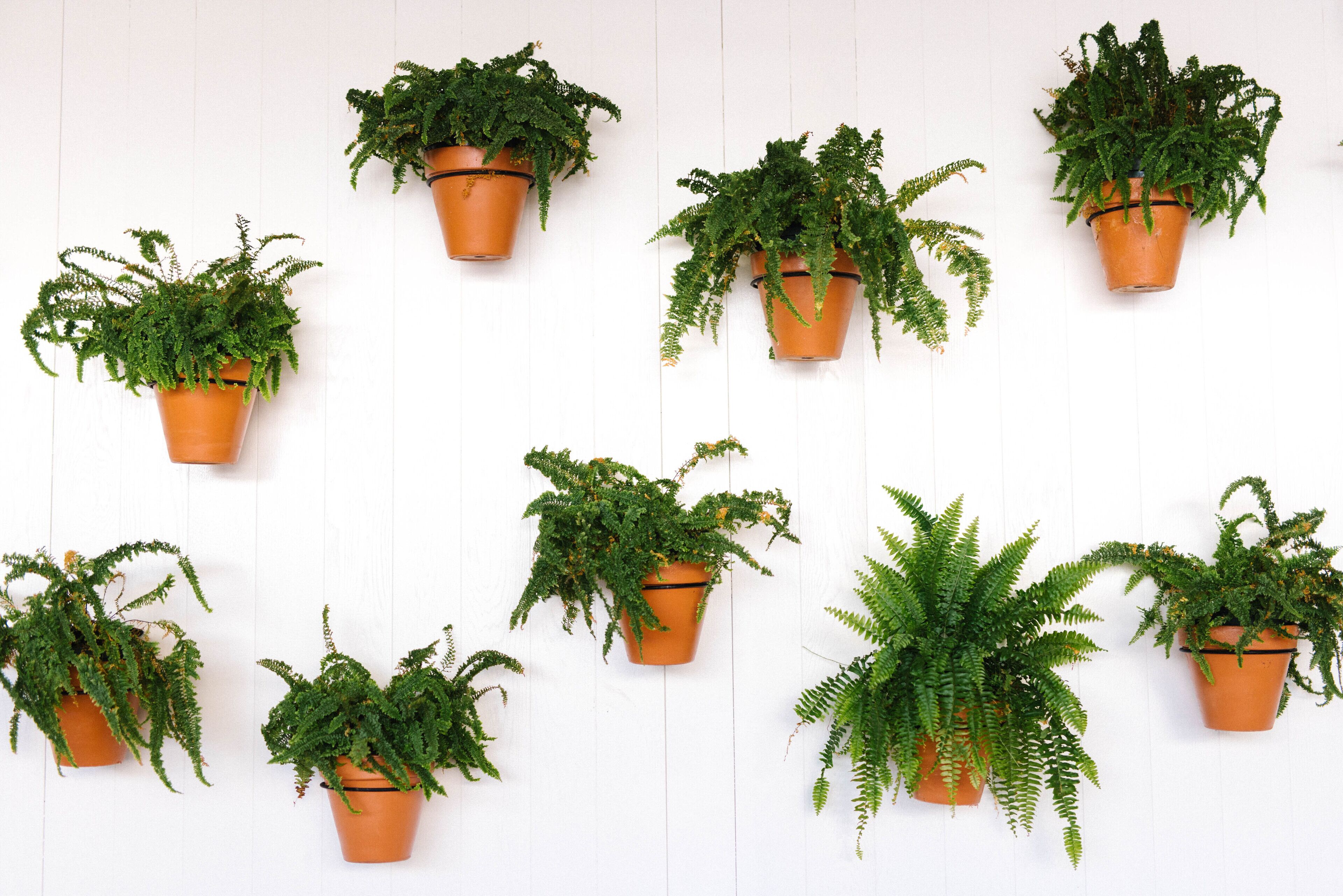 Photo - Hilton Vacation Club The Modern Honolulu