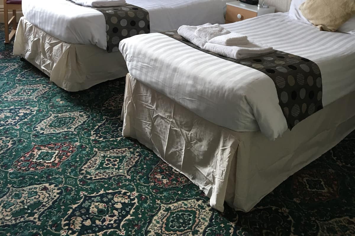 Habitación de hotel con dos camas, una silla, un escritorio, una lámpara, un cuadro enmarcado y una alfombra estampada.