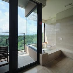 Premier King Mountain View