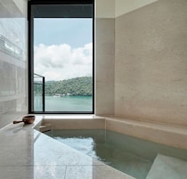 Deluxe Suite Lake View | View from room