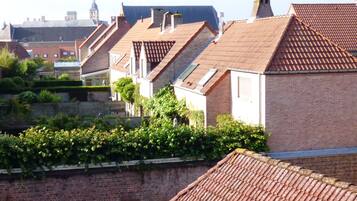 Deluxe Double Room, Shared Bathroom | View from room