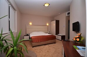A hotel room with a bed, bedside tables, a TV, a desk, and a potted plant. - Lebed (Ohrid)