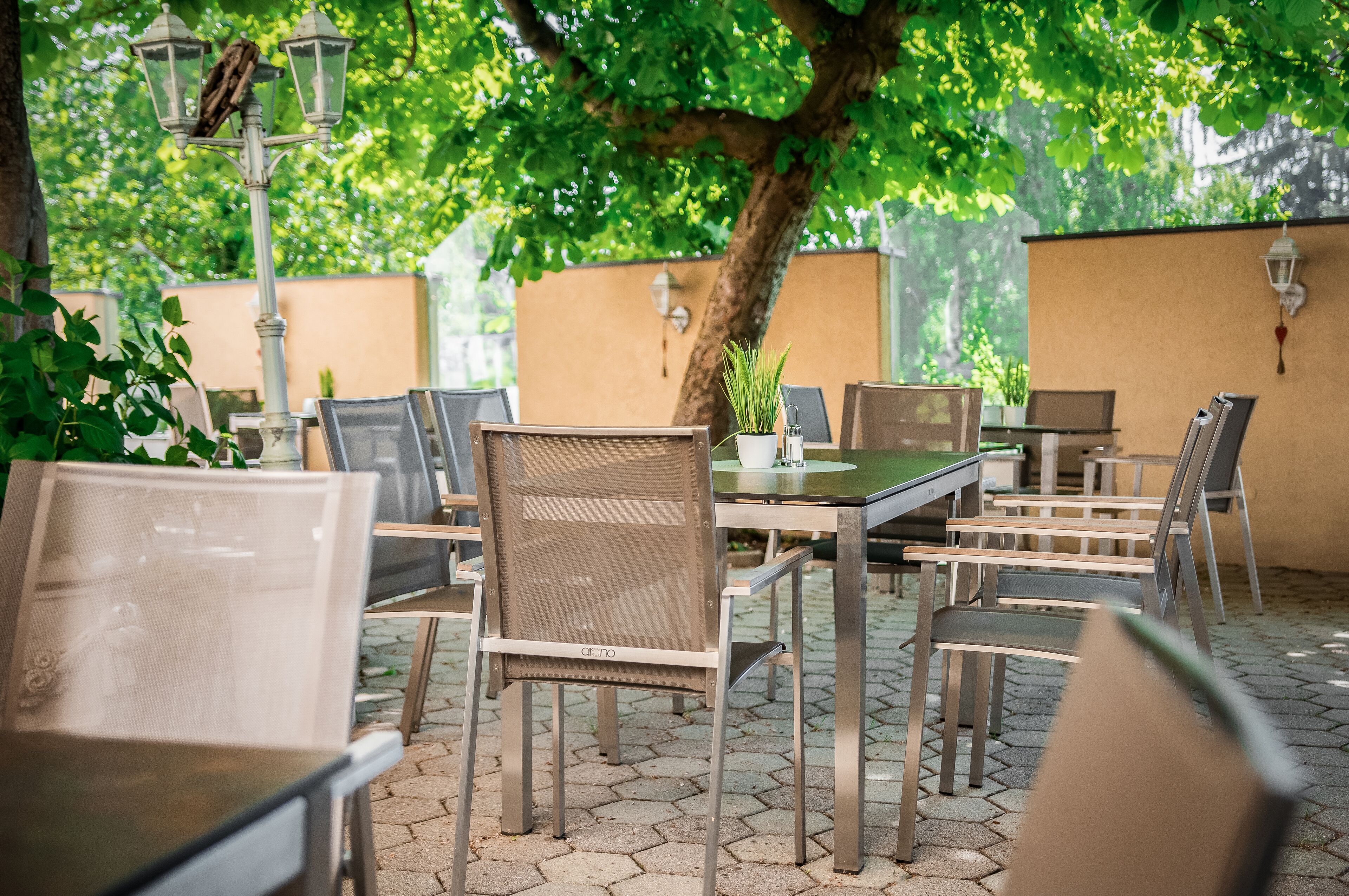 Un café al aire libre con mesas y sillas, rodeado de follaje y un árbol.