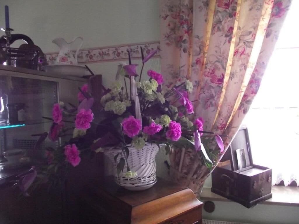 Foto - Waldschlösschen