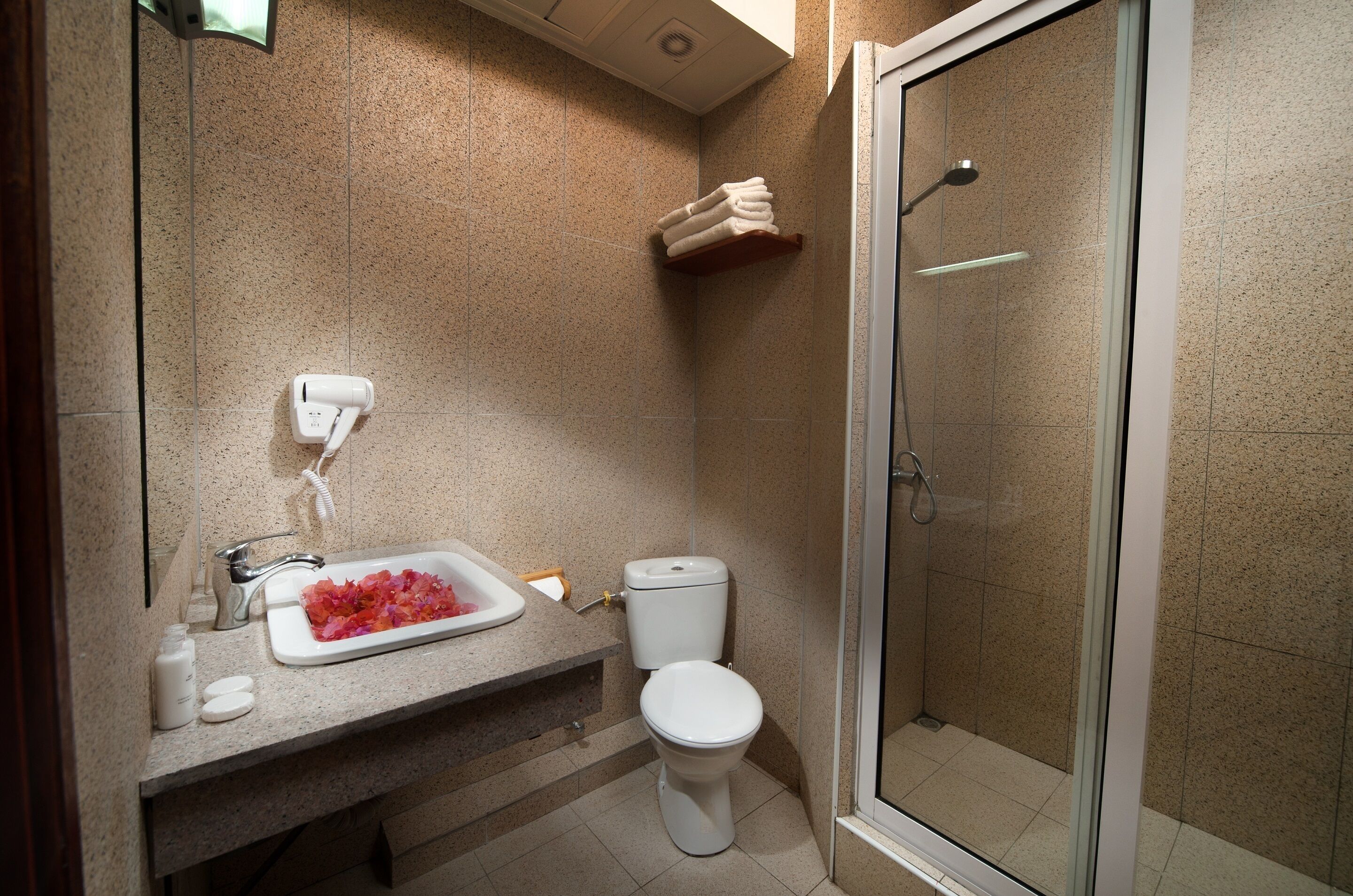 Une salle de bain avec un lavabo, des toilettes et une douche.
