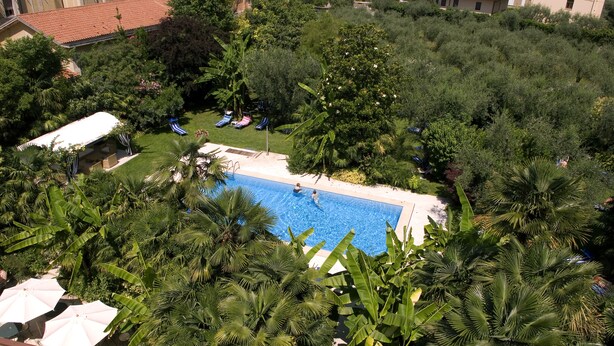 Una piscina rodeada de abundante vegetación, con sillas de descanso y sombrillas.
