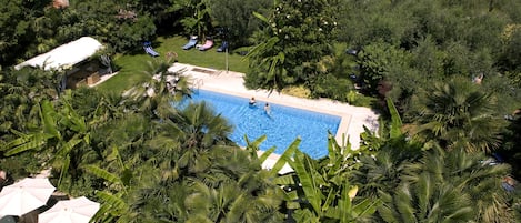 Utsikt mot trädgården