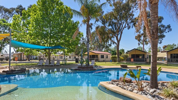 A swimming pool with lounge chairs, palm trees, and a clear blue sky. - Discovery Parks - Moama West (Moama)