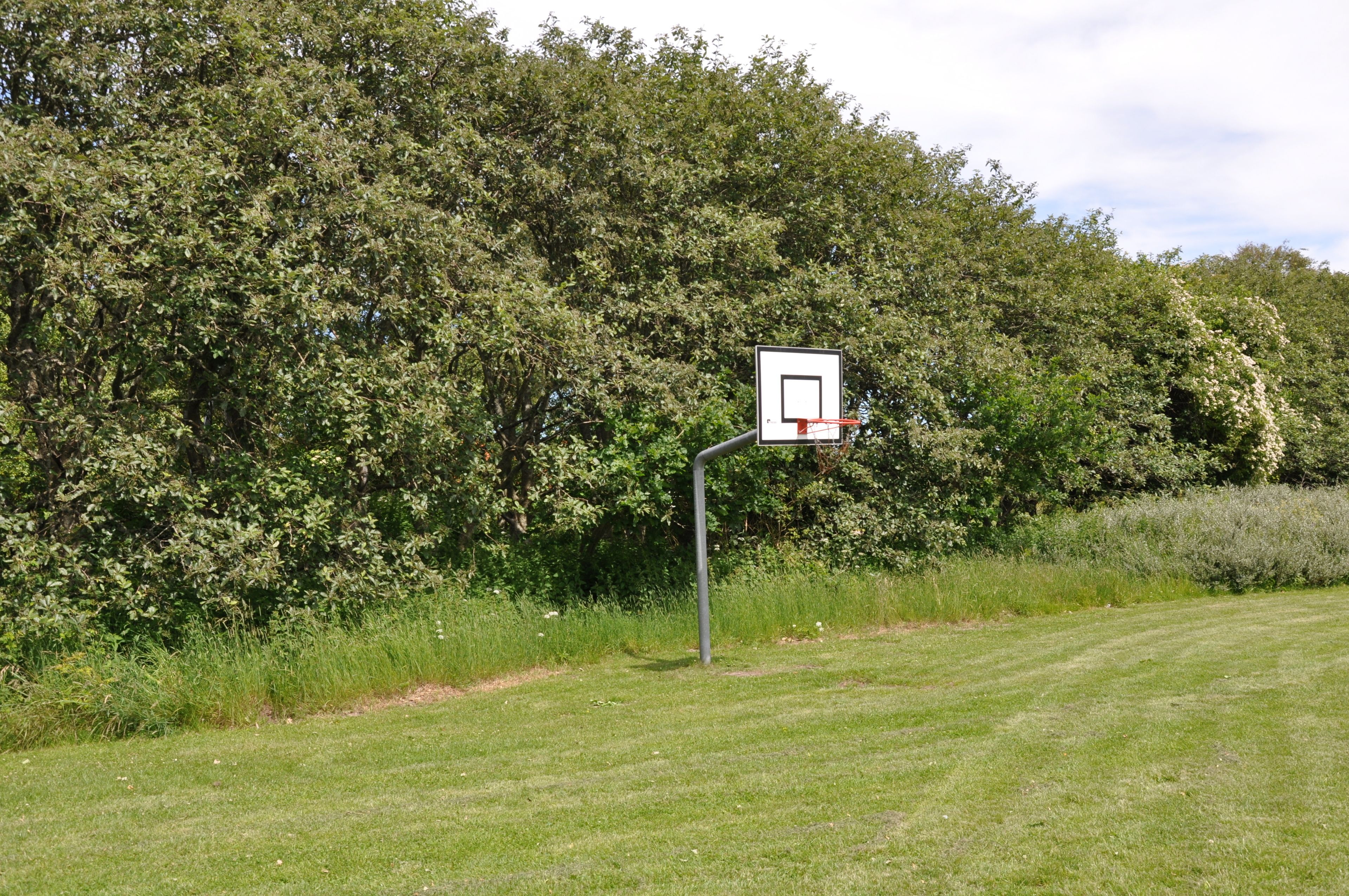 Canasta de baloncesto en un área con césped, con abundante vegetación al fondo.