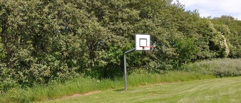 A basketball hoop in a grassy area with dense foliage in the background.