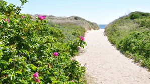 Un sendero arenoso bordeado por follaje verde y flores rosadas, que lleva a una playa.