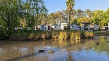 Una hilera de casas móviles junto a un río tranquilo, con patos nadando.