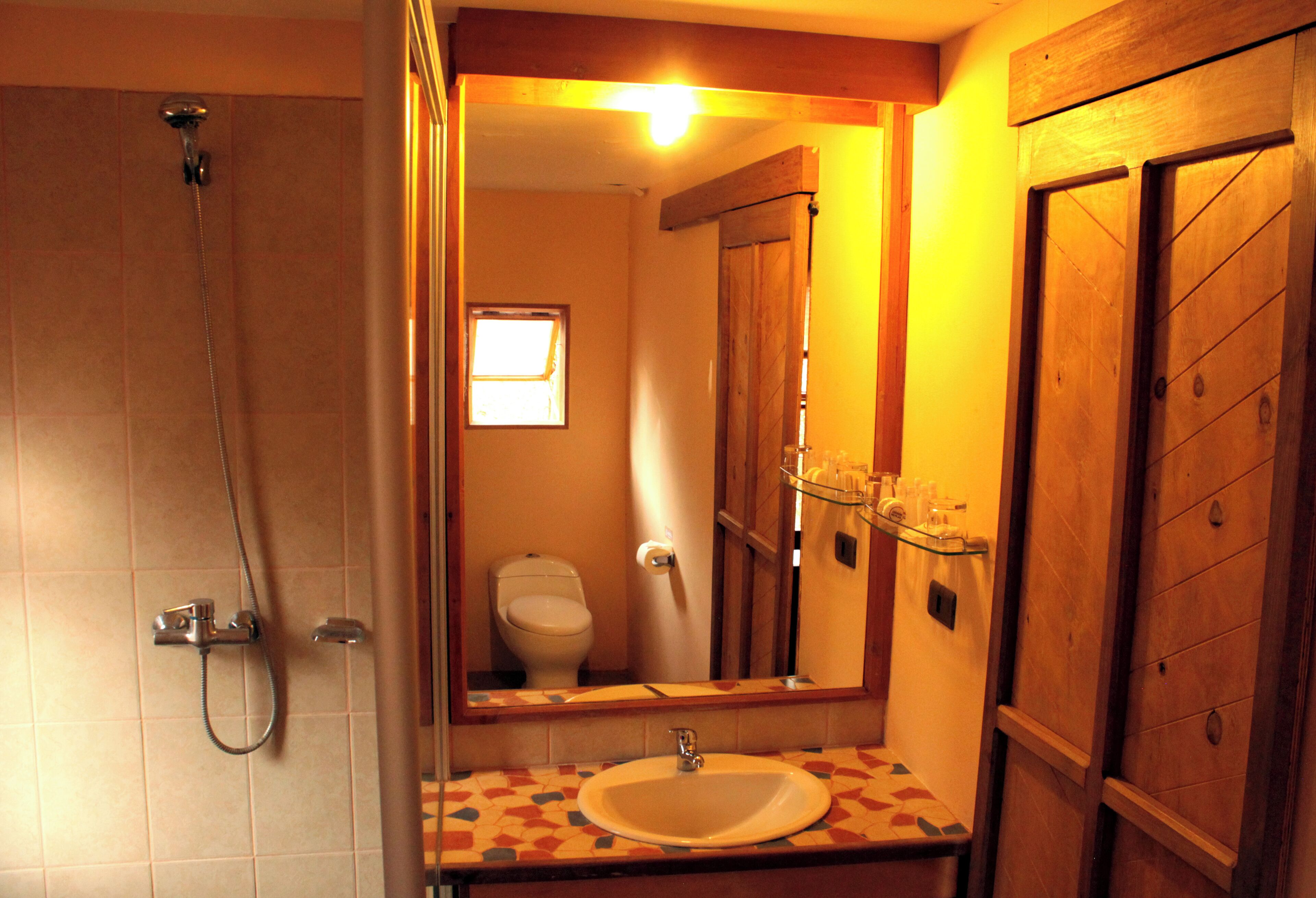 shower, free toiletries, towels