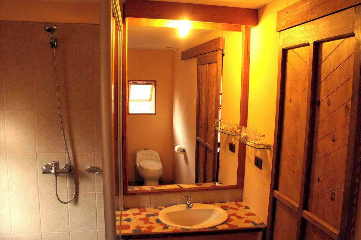 shower, free toiletries, towels