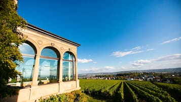 A building with large arched windows overlooking a vineyard.