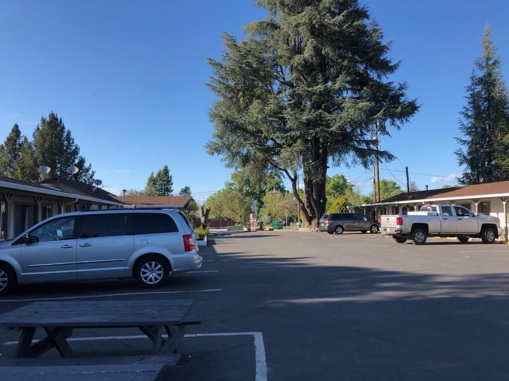 Ein Parkplatz mit einem weißen Lieferwagen und einem Pickup-Truck, umgeben von Bäumen und Gebäuden.