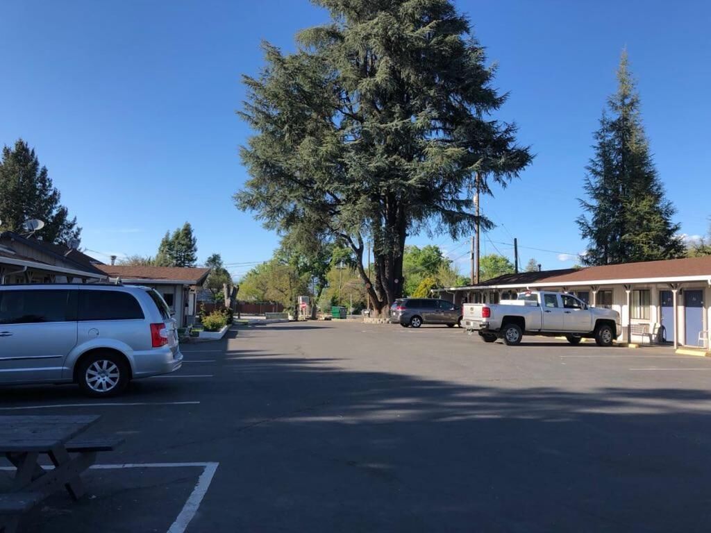 A parking lot with a large tree, a white truck, and a building with a brown roof.