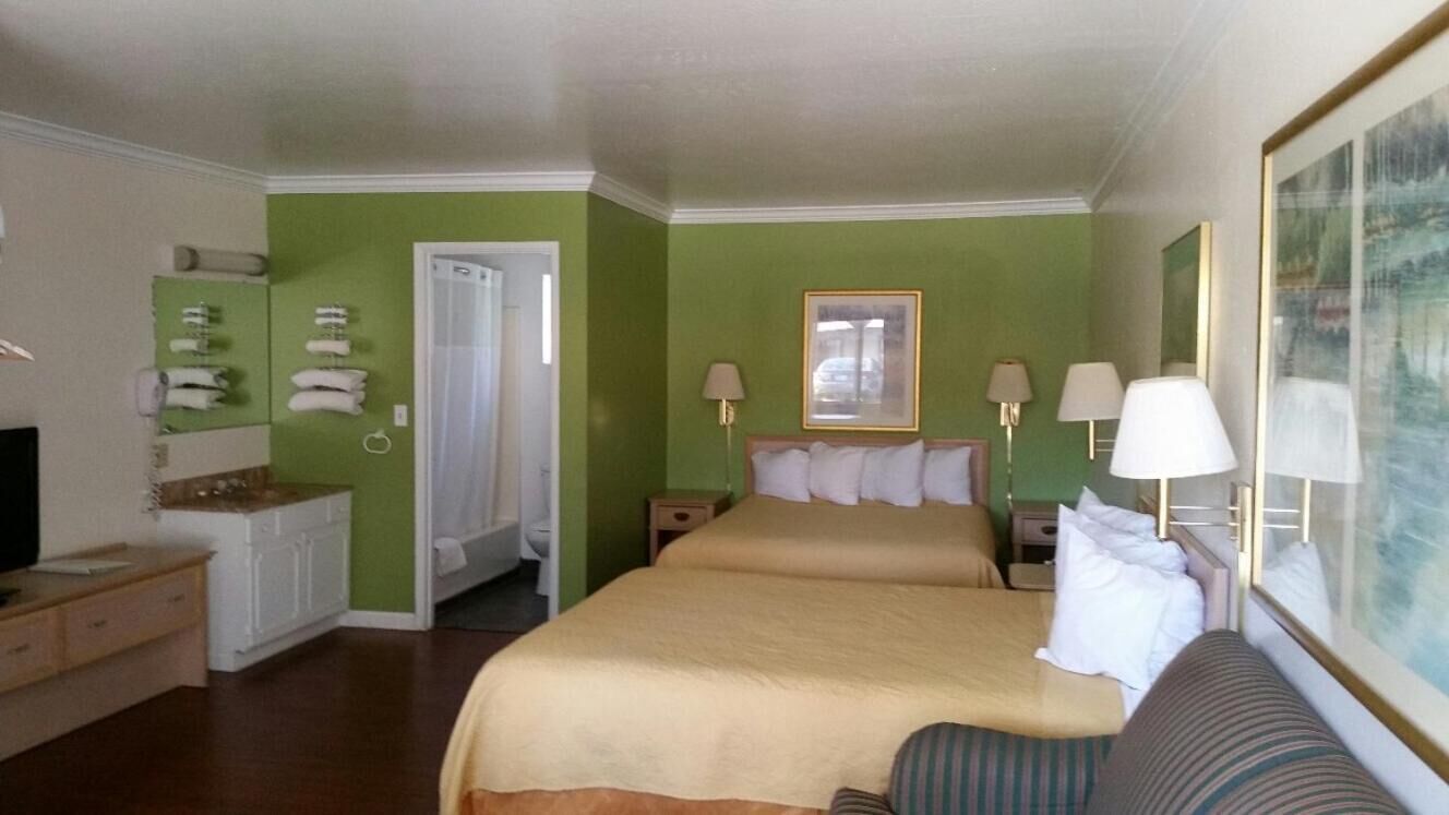 Une chambre d’hôtel avec un lit, un canapé, une télévision, une salle de bain avec douche et un tableau au mur.