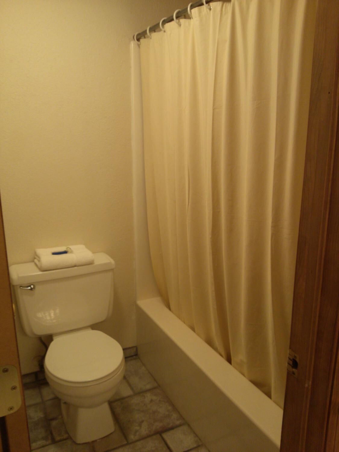 A small bathroom with a toilet, a bathtub, and a shower curtain.