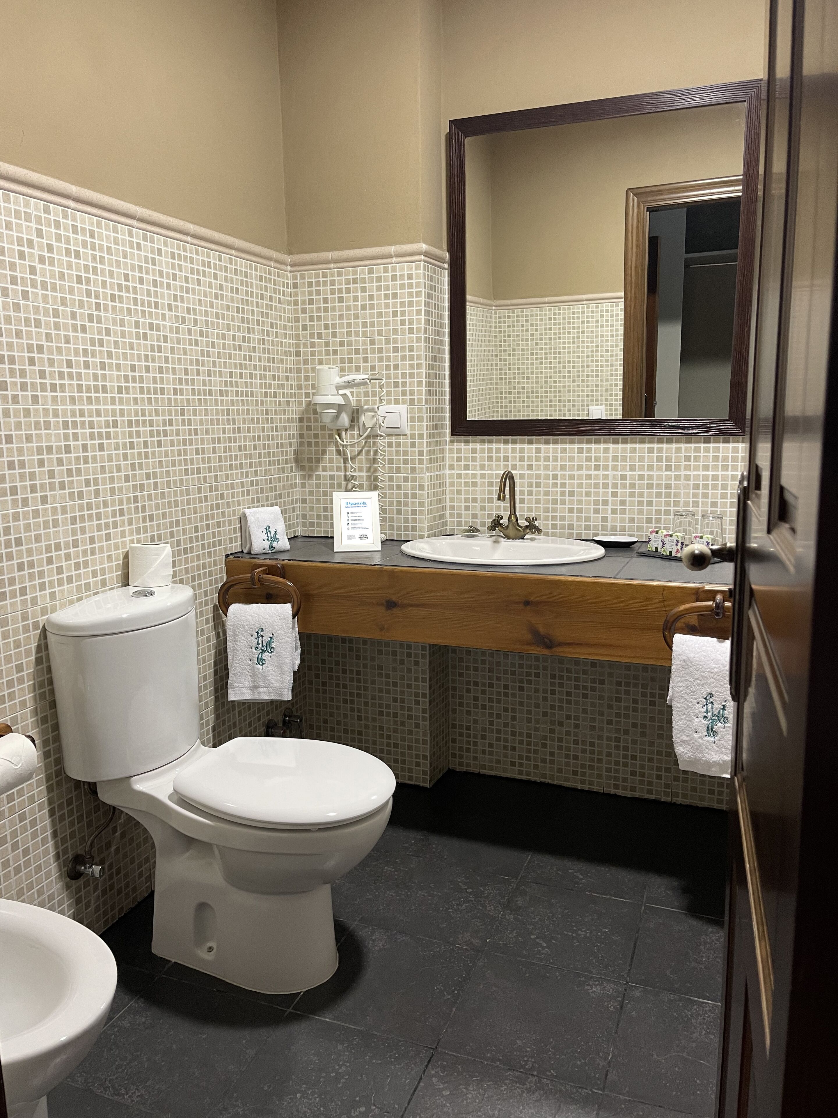 double room | bathroom | shower, hair dryer, towels