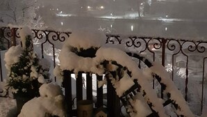 A snowy outdoor area with a metal fence, a small wooden structure, and a snow-covered tree. - Gasthof Schoenegg (Ringgenberg)
