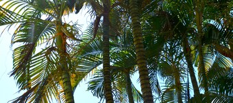 Pousada Cores do Mar - Porto de Galinhas
