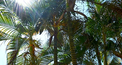 Pousada Cores do Mar - Porto de Galinhas