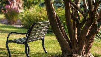 A bench under a tree in a park.