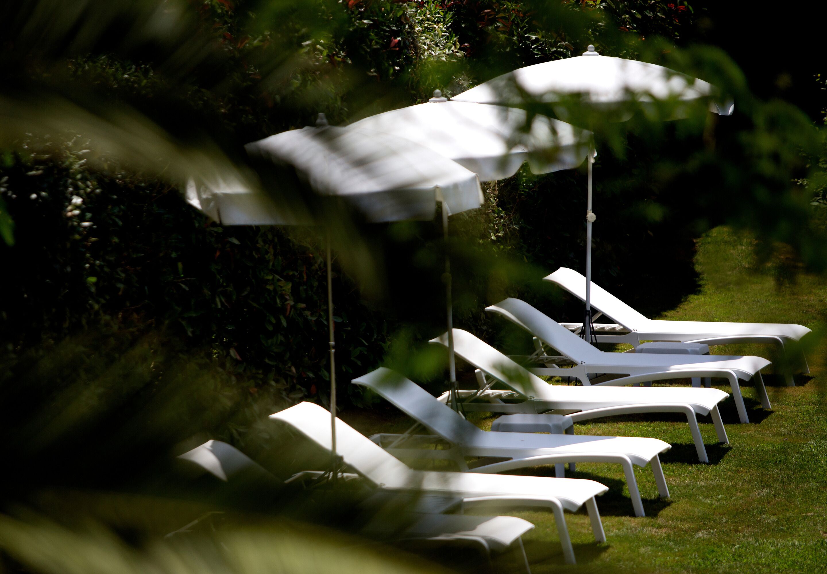 Rijen witte lounge stoelen met parasols, gerangschikt in een tuinachtige omgeving.