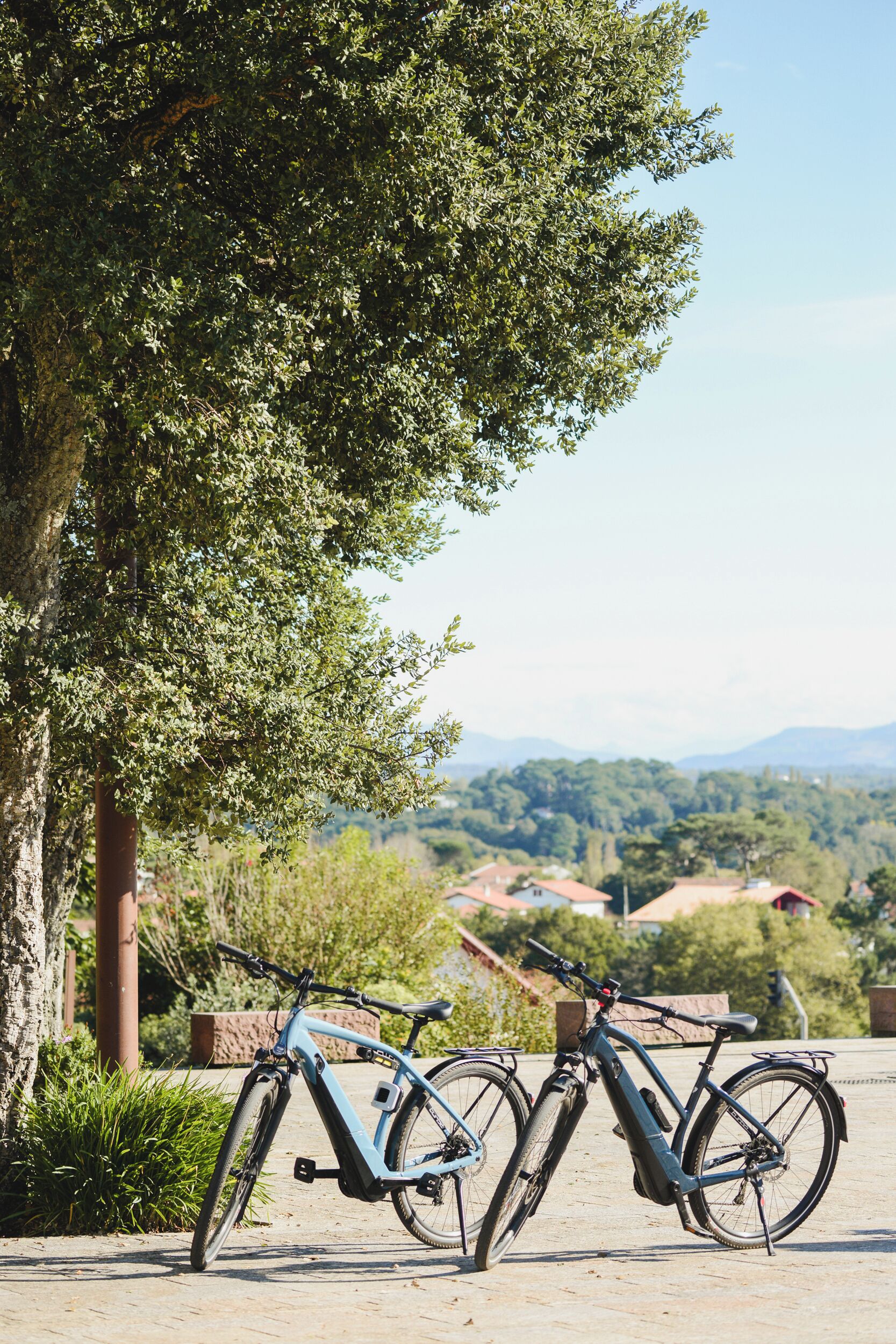 children’s activities