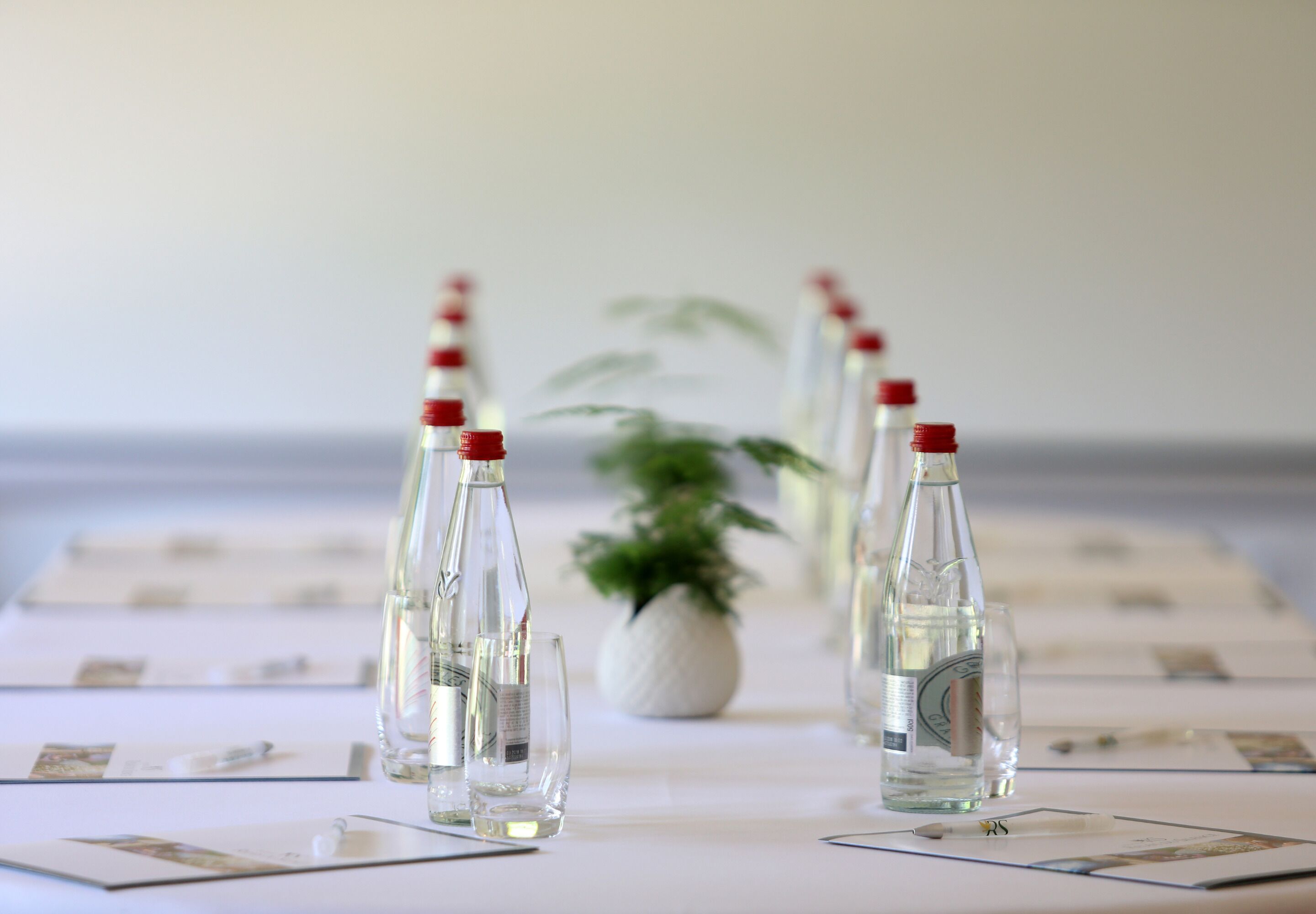 Una mesa de conferencias con botellas de vidrio transparente y una planta en maceta en el centro.