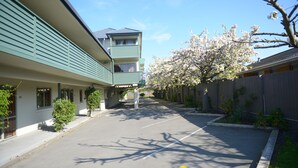 Een gebouw met een groene gevel, een parkeerplaats met een ruimte voor een rolstoel, en een boom met witte bloemen.