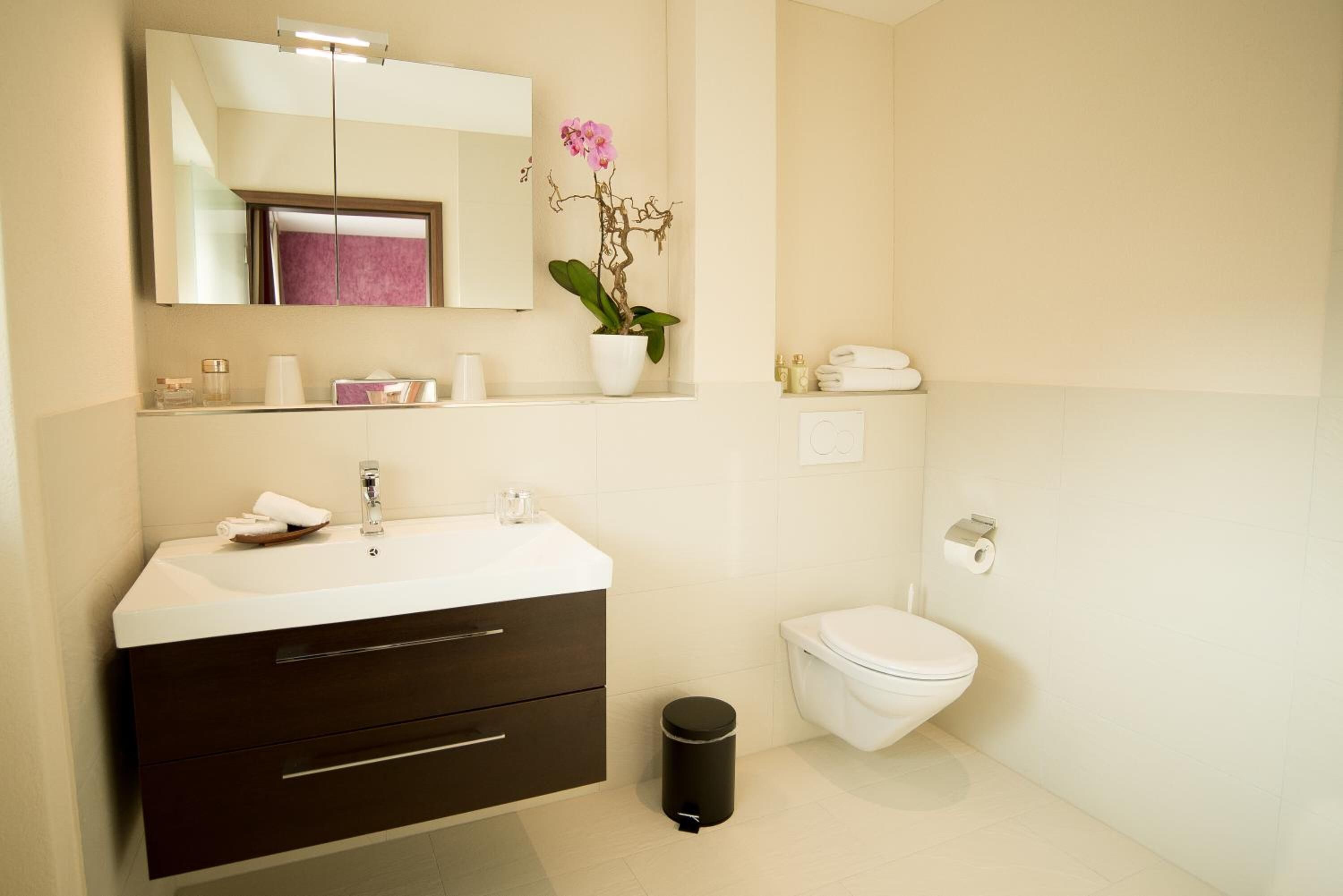 Une salle de bain moderne avec un lavabo blanc, un meuble sombre, un miroir, des toilettes et une poubelle.