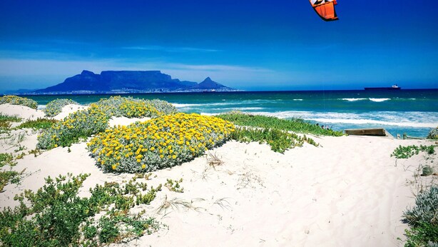 Une plage parsemée de fleurs jaunes, un navire à l’horizon et un cerf-volant dans le ciel.