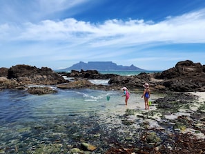 A rocky beach with clear water and a distant mountain. - Blouberg Dolphin Inn (Cape Town)