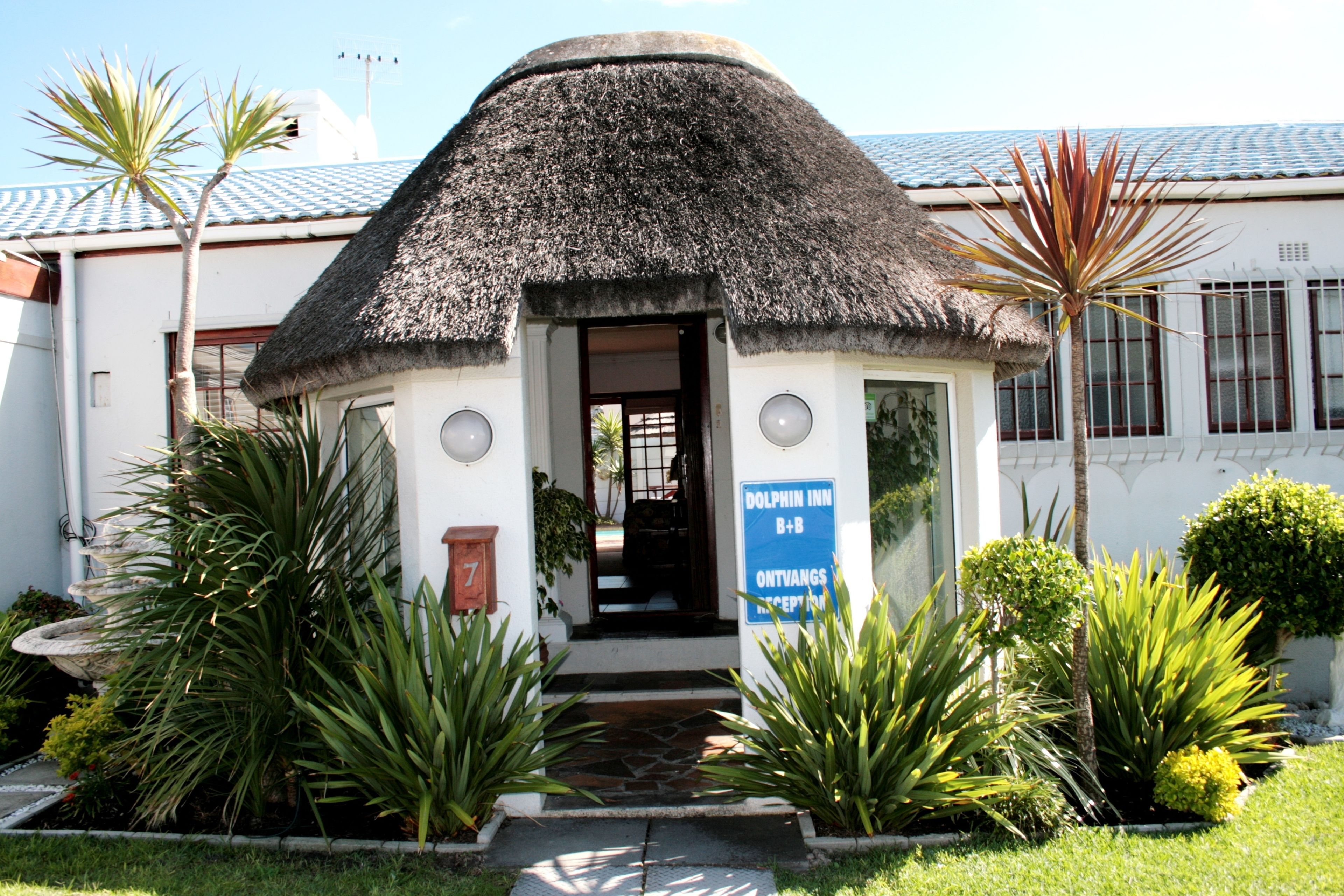 A building with a thatched roof entrance, a sign for Dolphin Inn B&B, and a well-maintained garden with various plants.