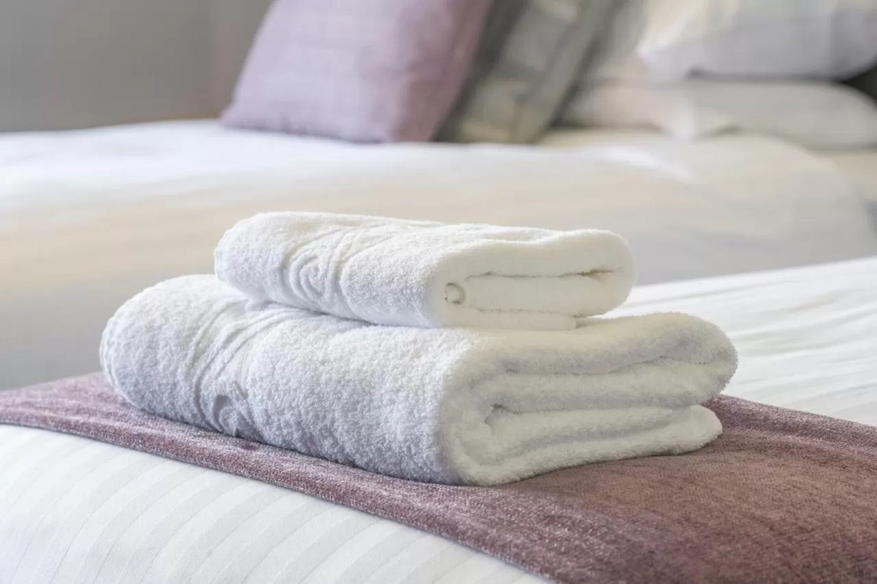 1 bedroom, desk, iron/ironing board, cots/infant beds