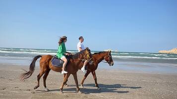 Deux personnes à cheval sur une plage, avec l’océan en arrière-plan.