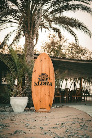 Une planche de surf en bois sur laquelle est inscrit le mot « ALOHA », posée sur un chemin de gravier, à côté d’un palmier et d’un pot blanc.