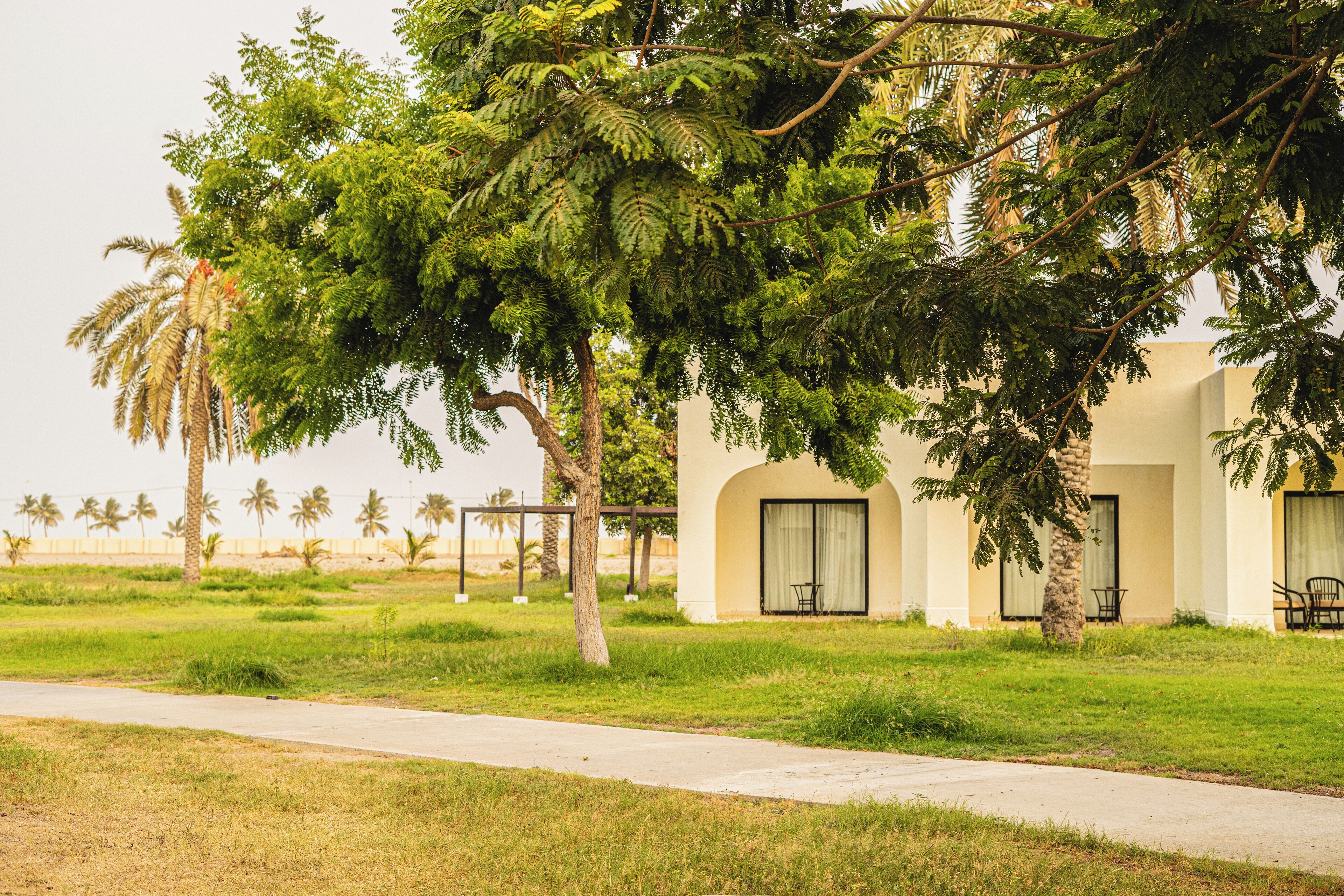 A building with a pathway leading to it, surrounded by greenery and palm trees.