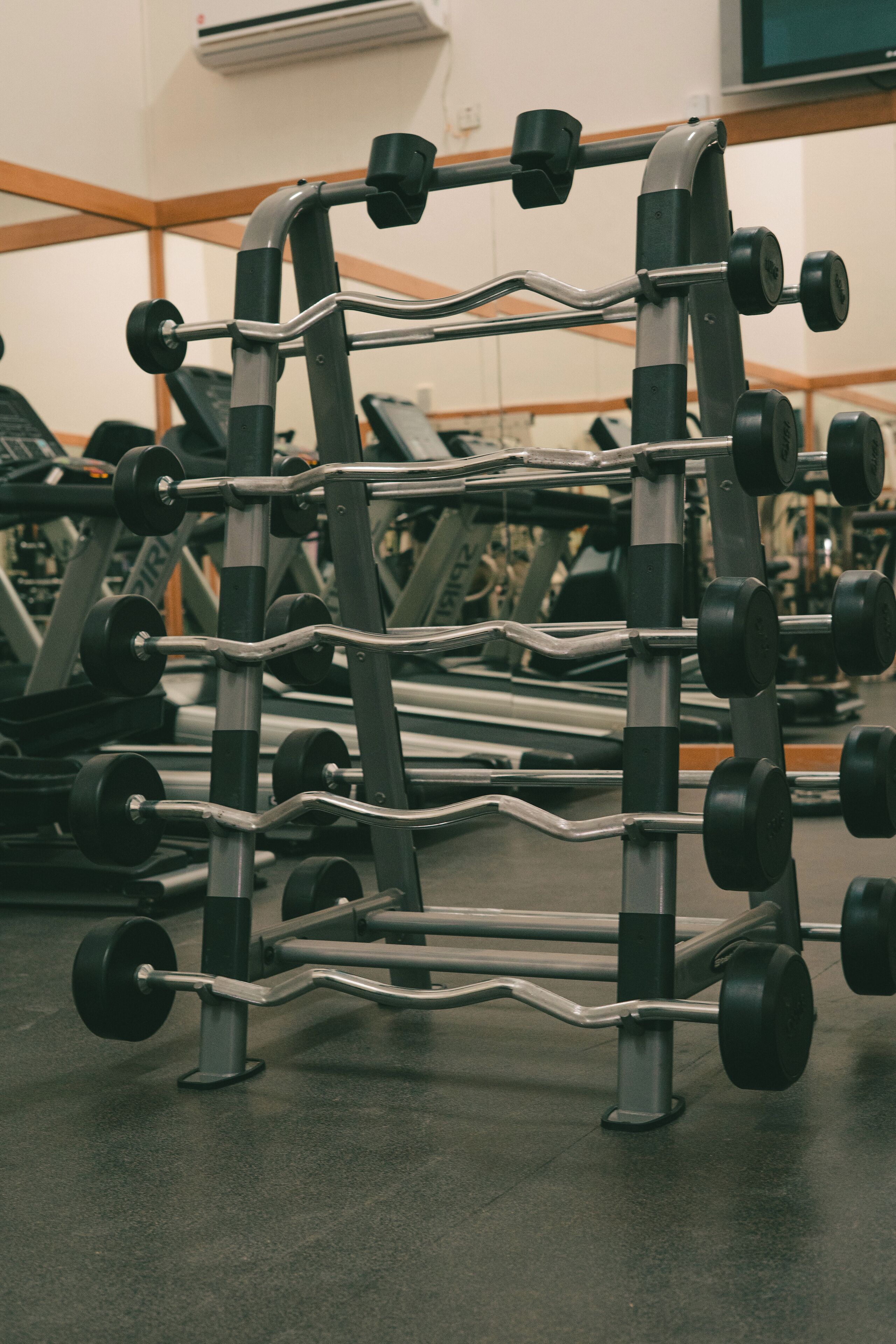 Un gimnasio con una estructura para sentadillas, mancuernas y máquinas de ejercicio.