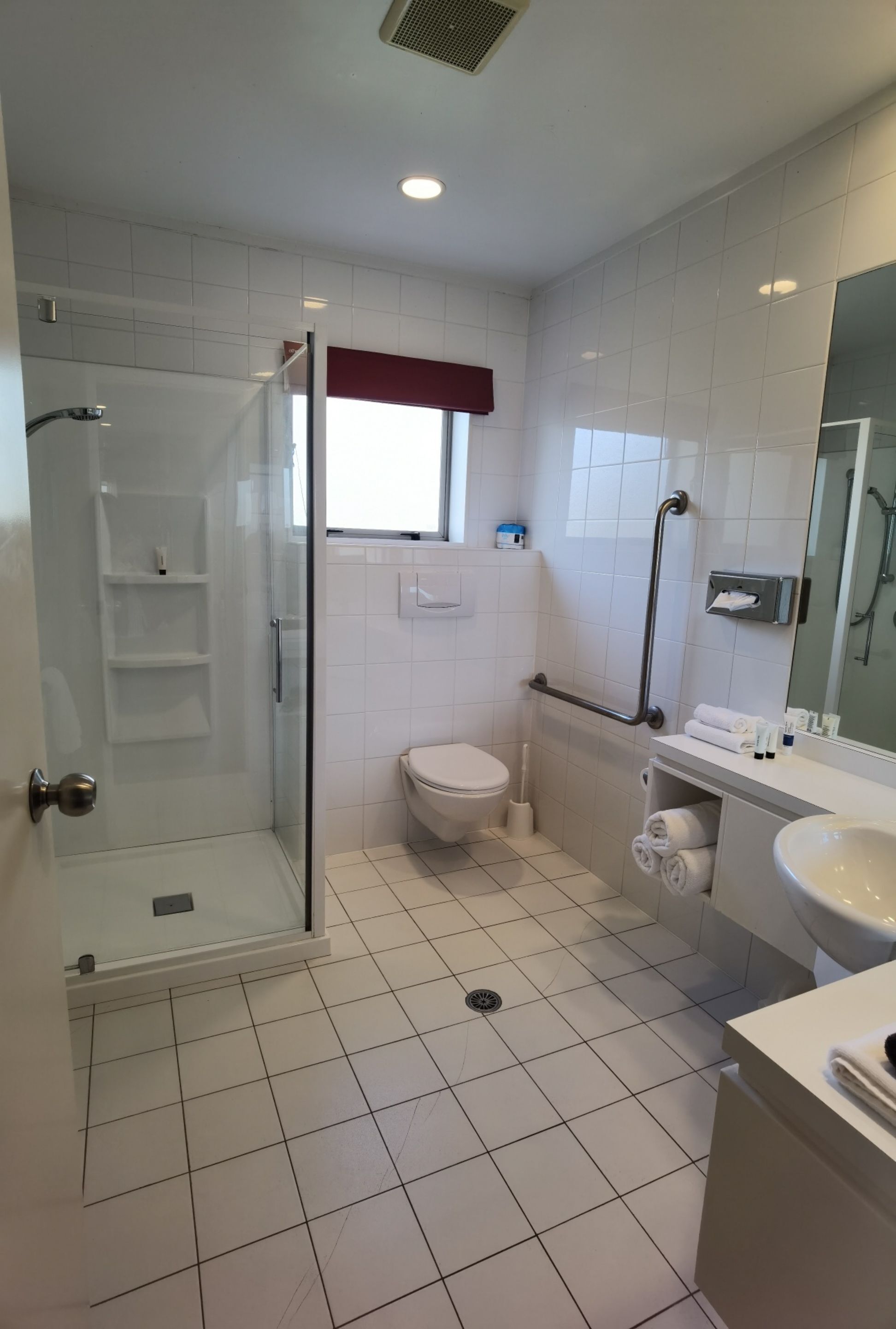 A modern bathroom with a glass-enclosed shower, a toilet, and a sink with a mirror.
