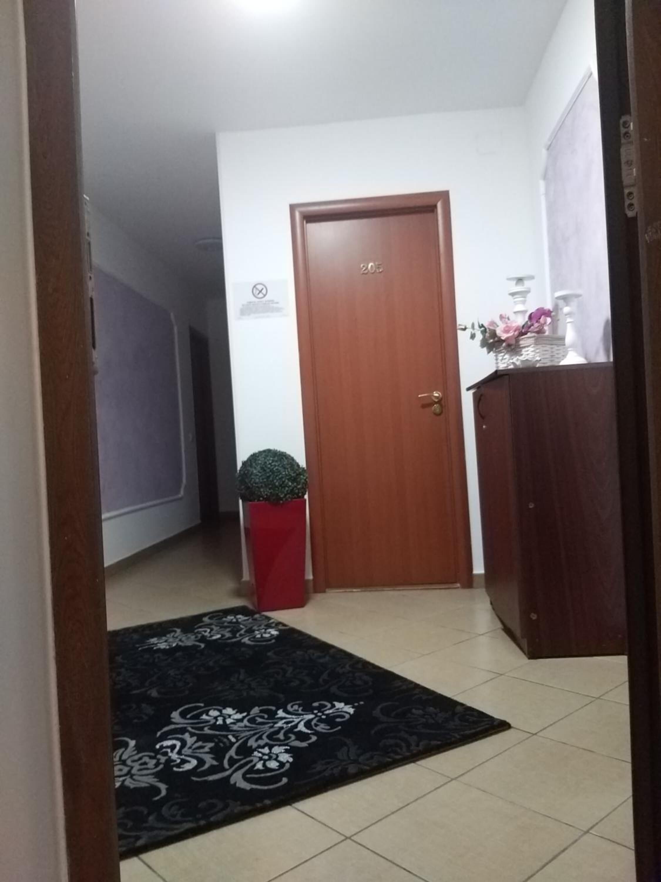 Un pasillo con una puerta de madera, una maceta roja con un árbol pequeño, una alfombra estampada en blanco y negro y una pared blanca con un letrero pequeño.