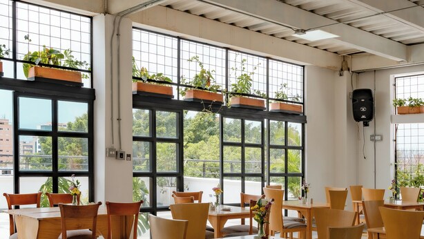 Un comedor amplio con grandes ventanales, mesas y sillas de madera, y plantas en macetas.