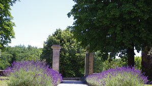 Un sendero bordeado de arbustos de lavanda que conduce a un arco de piedra.
