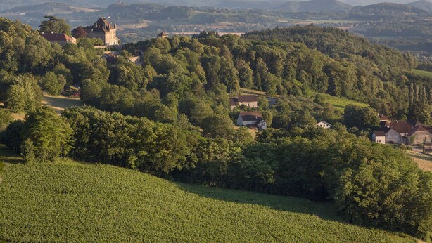 A rural landscape with a castle, houses, and a vineyard.