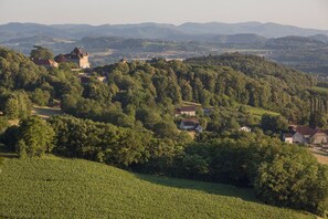 A rural landscape with a castle, houses, and a vineyard. - Domaine du Revermont (Passenans)