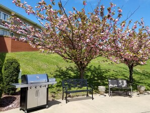 Un espace extérieur aménagé avec un barbecue, deux bancs et un arbre en fleurs.