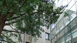 Un espace extérieur aménagé en terrasse, avec des meubles en osier, et un bâtiment en verre en arrière-plan.